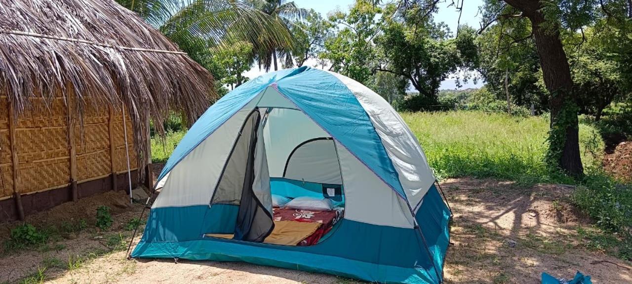 Banana Tree Home Stay Hampi Εξωτερικό φωτογραφία